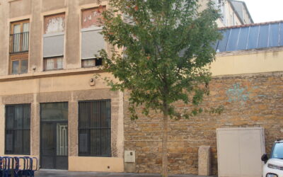 VERGER / JARDIN RUE DUMONT D’URVILLE