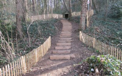 Projet rue du Bois de la Caille