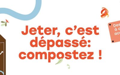 Distribution de seaux et de sacs papier pour les bornes à compost