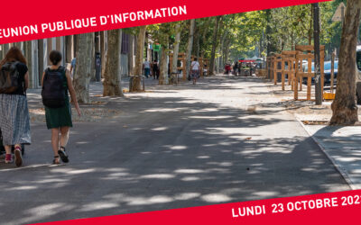Réaménagement du boulevard de la Croix-Rousse : bilan de restitution de la concertation